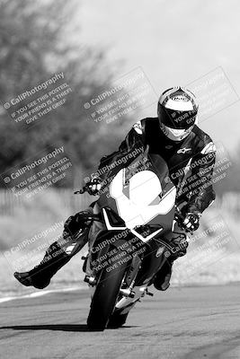 media/Nov-11-2023-SoCal Trackdays (Sat) [[efd63766ff]]/Track Exit (1130am until Lunch)/